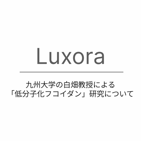 九州大学の白畑教授による「低分子化フコイダン」研究について